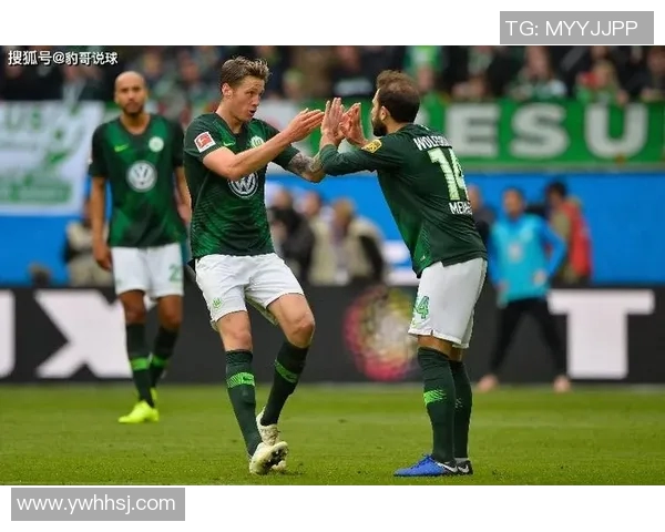 沃尔夫斯堡大胜弗赖堡,德甲保级前景乐观可期 沃尔夫斯堡大胜弗赖堡,德甲保级前景乐观可期
